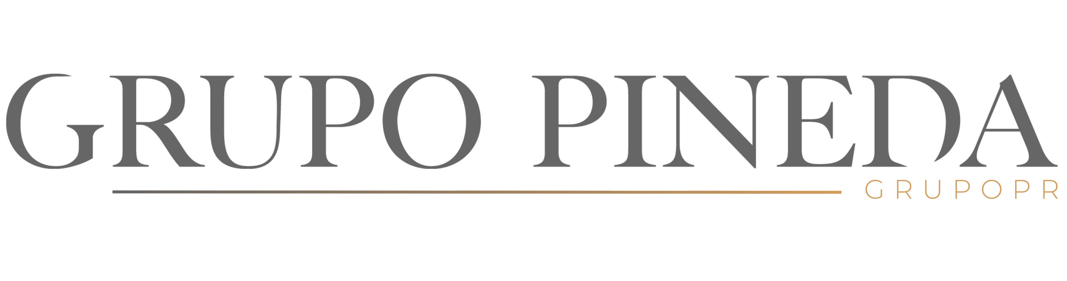 GRUPO PINEDA